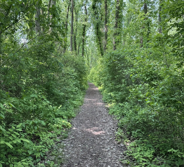 Exploring the Best Parks and Outdoor Spaces in Cheektowaga, NY